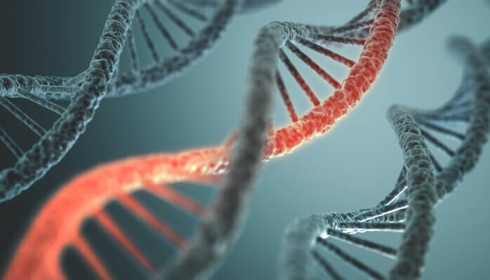 Case study. Interaction of the AEDL peptide with DNA