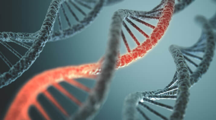 Case study. Interaction of the AEDL peptide with DNA