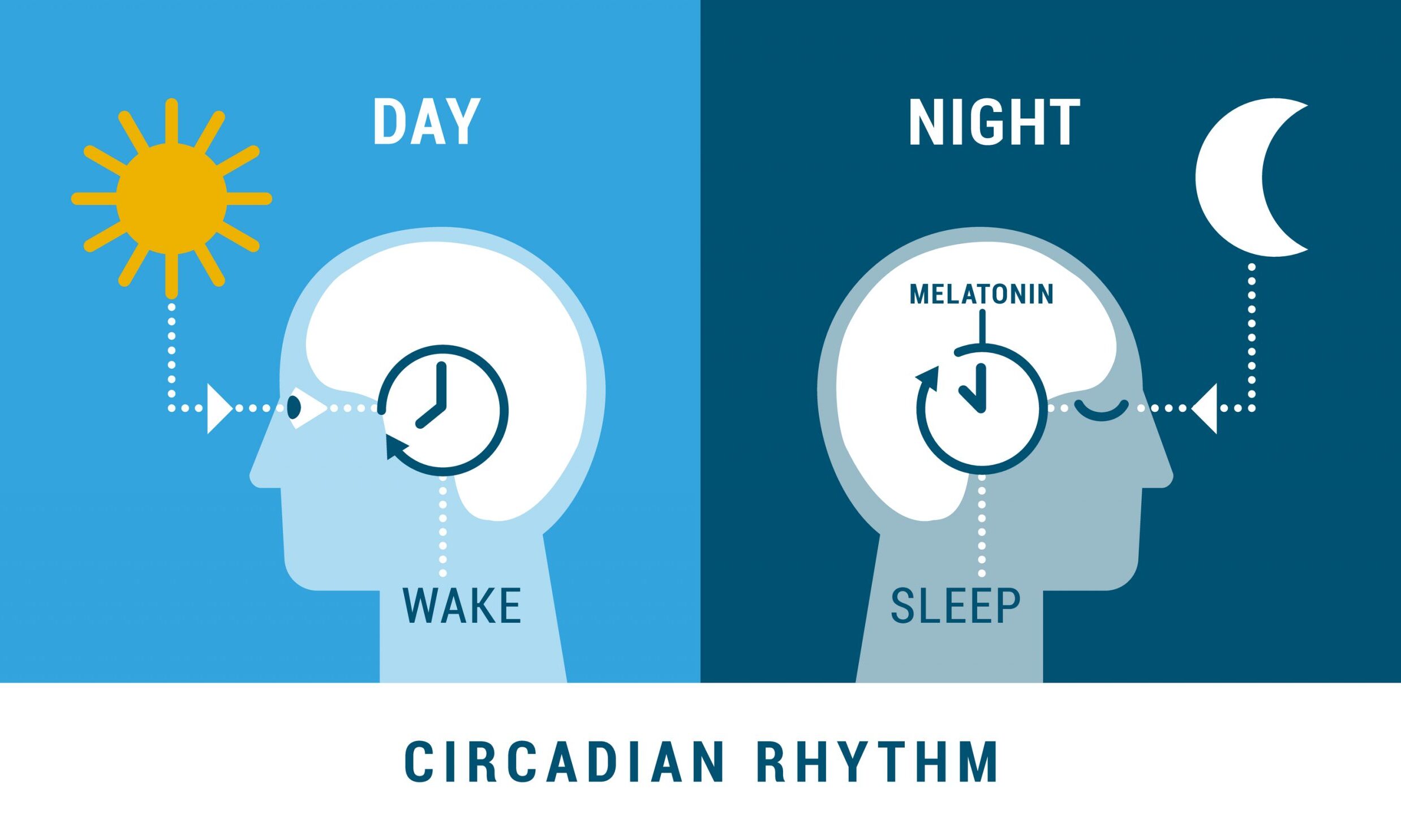 Melatonin and Sleep: can melatonin supplements improve sleep quality?