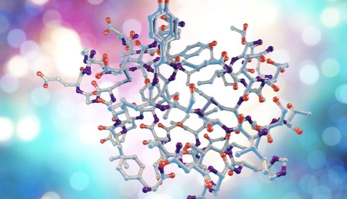 Role Of Peptides & Proteins In Medical Research